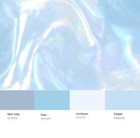 Color Scheme